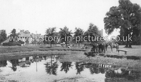 Bell Common, Epping, Essex. c.1920's